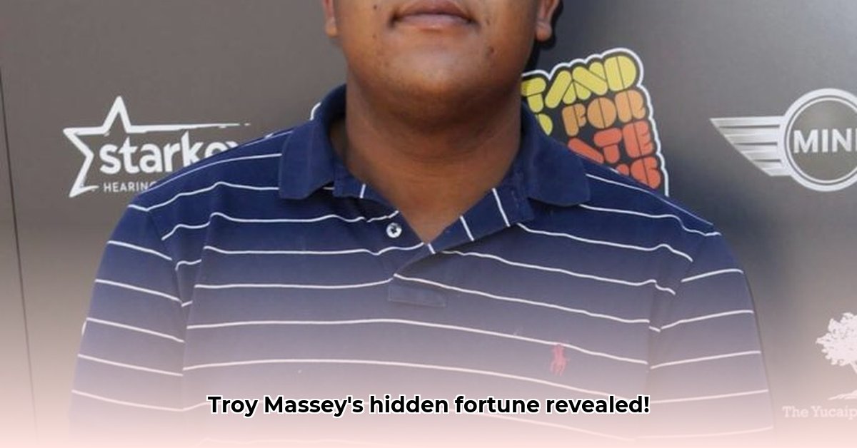 troy-massey-net-worth